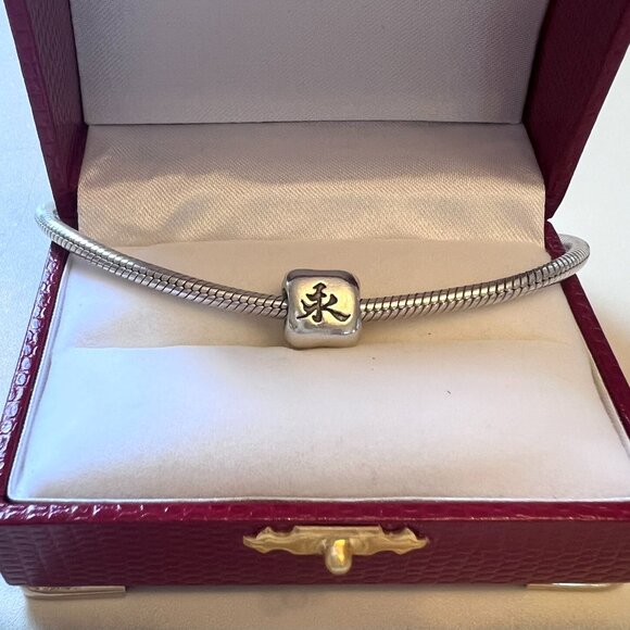 Pandora Chinese Character .925 Sterling Charm - Friendship - Picture 5 of 6